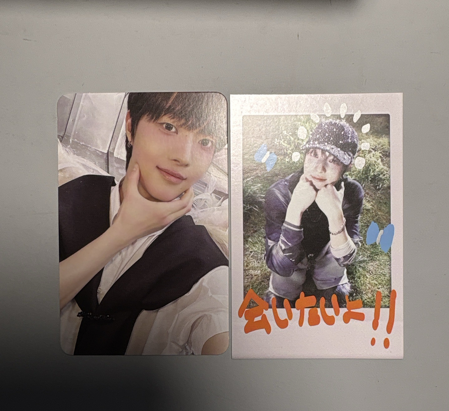 邊義州喬下巴（圖上全部）