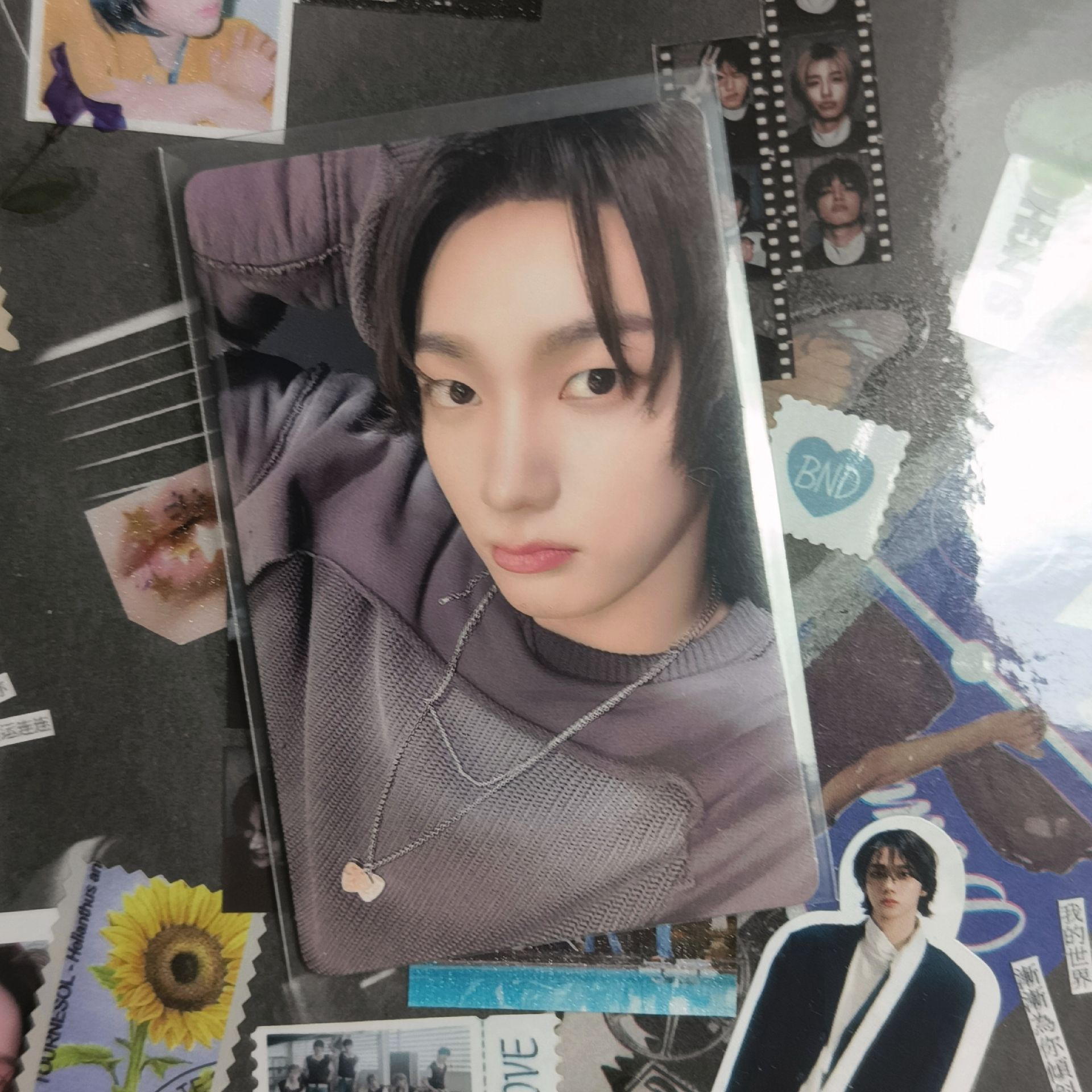 19.99單封 成淏專卡