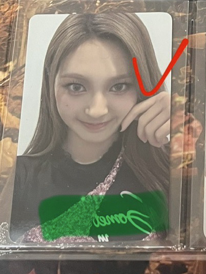 玫瑰日 捏臉 有損