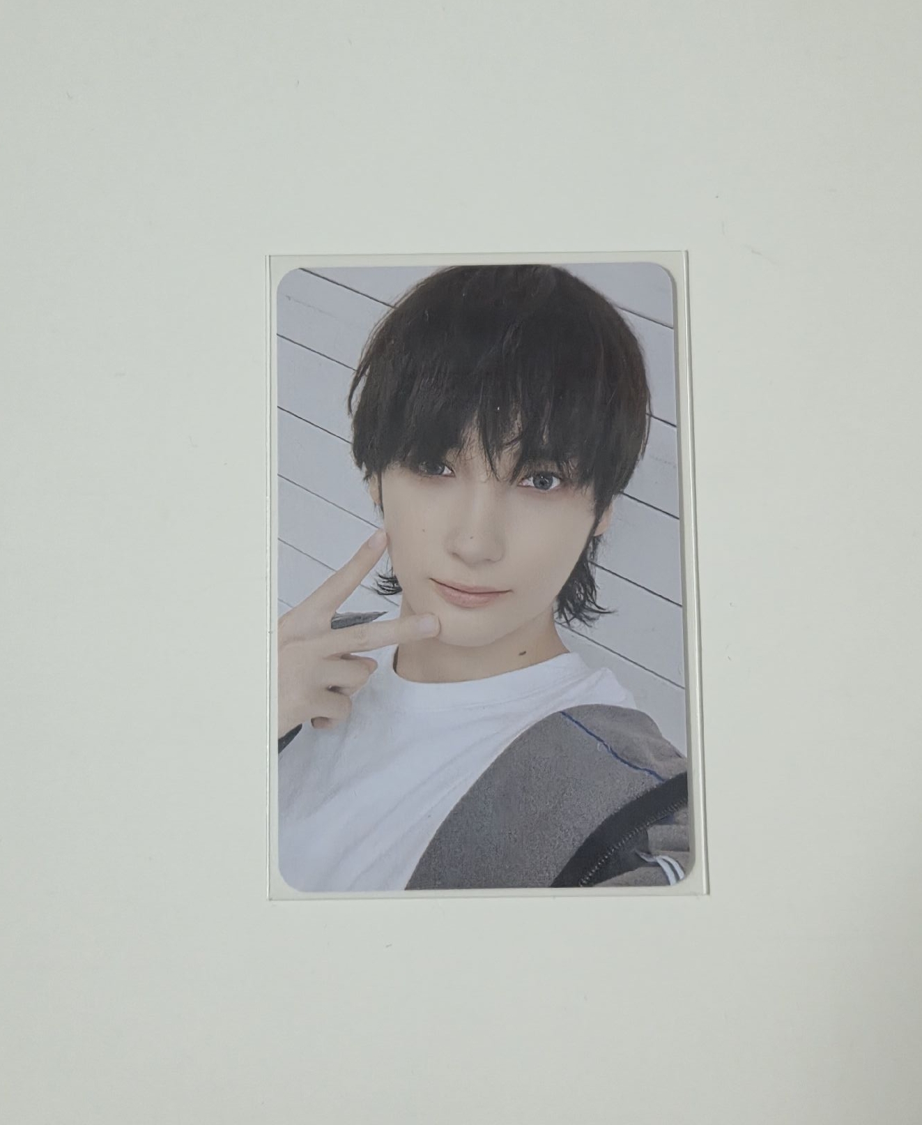 迷七 dmm 2.0 簽售卡 