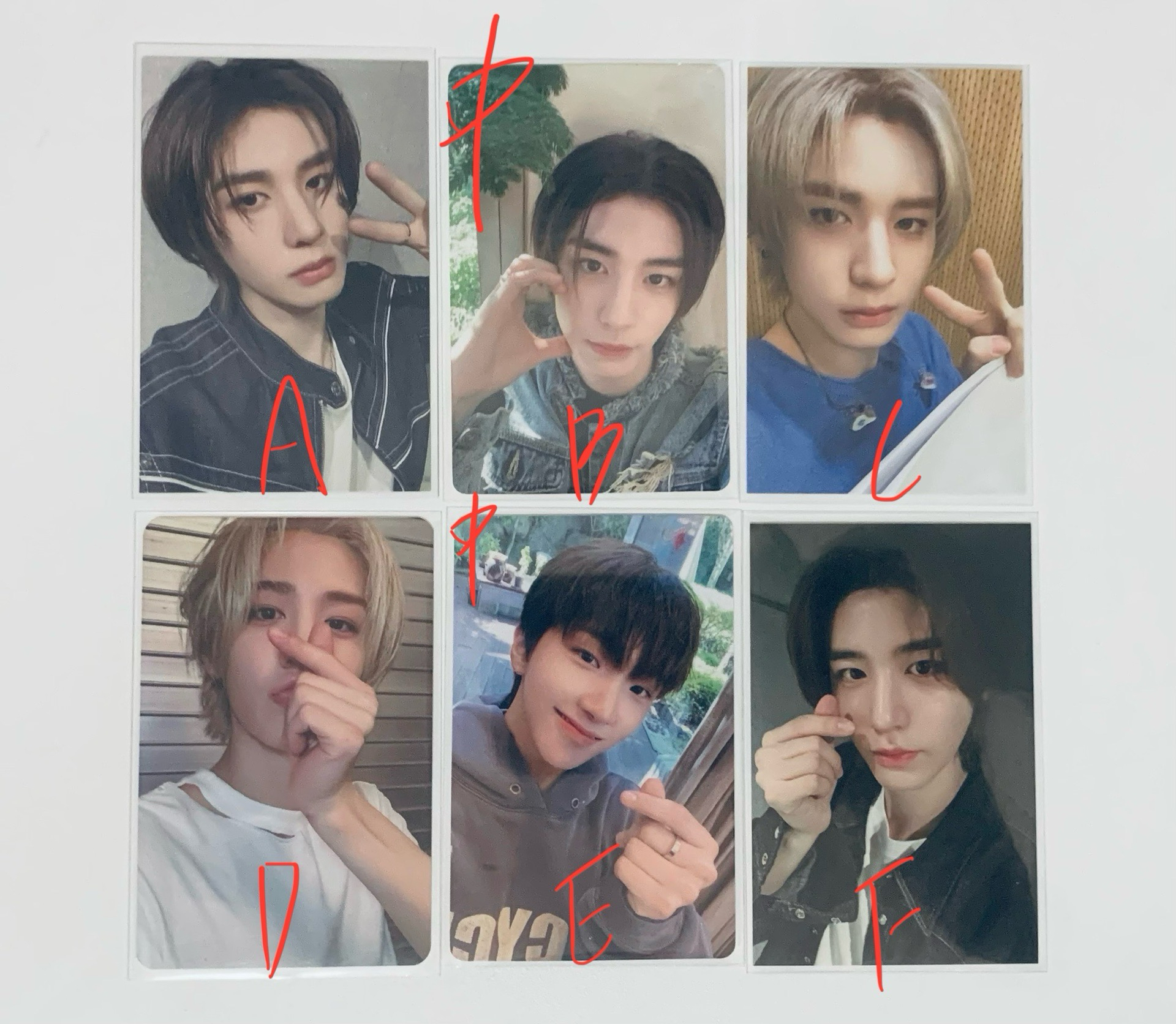 金桐儇、金雲鶴小卡