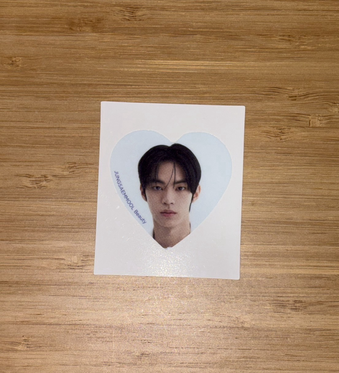 金道勳JUNGSAEMMOOL代言貼紙