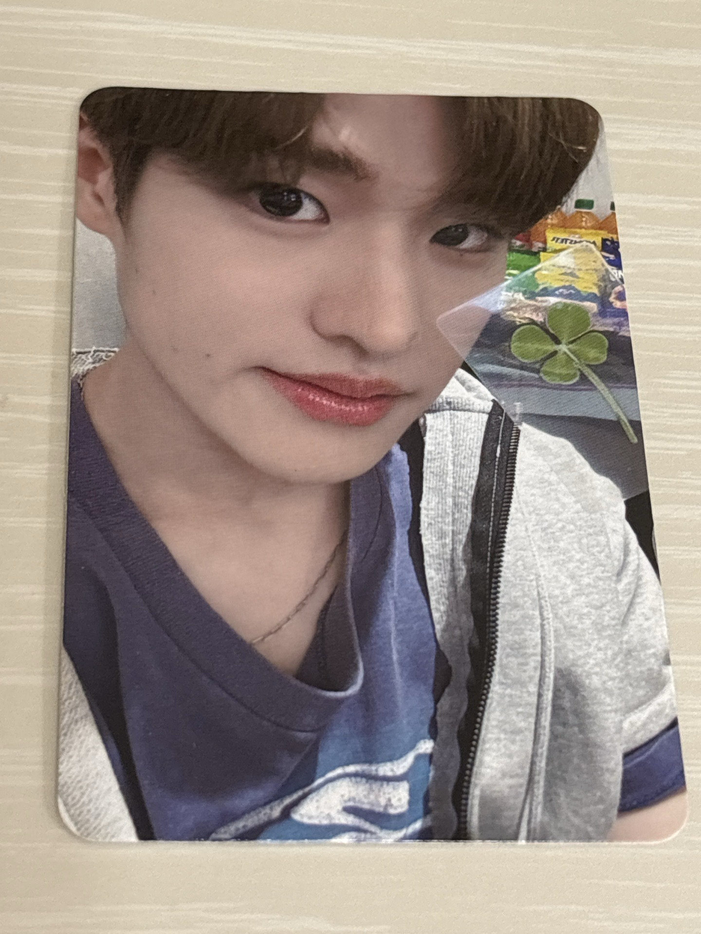 sohee 幸運草特典卡