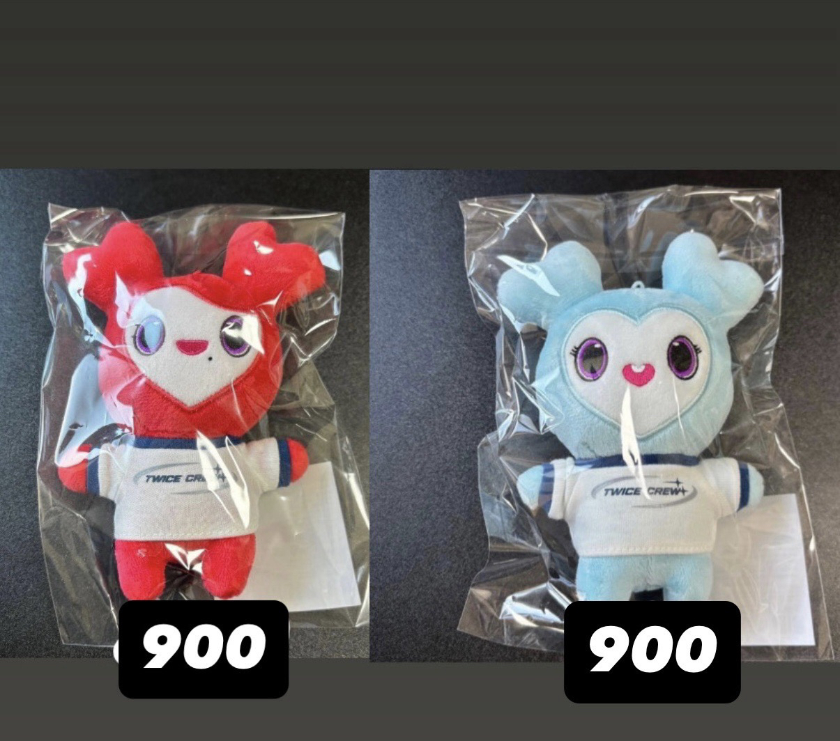 十週年娃 娜璉 彩瑛