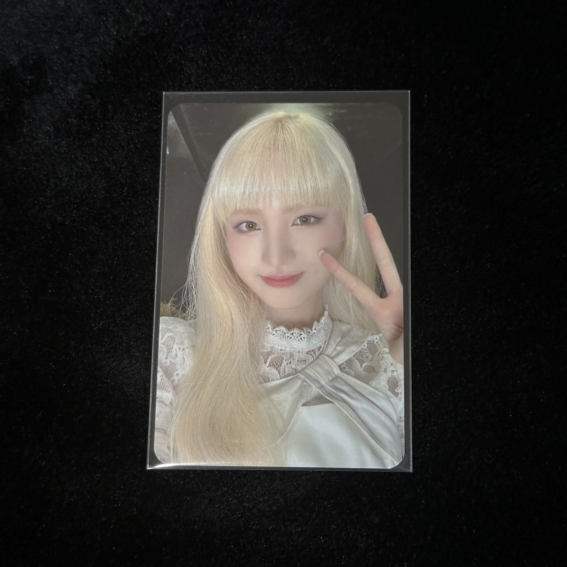 MS栗 價格已含綁