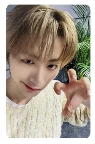 泰山迷四muvve1.0