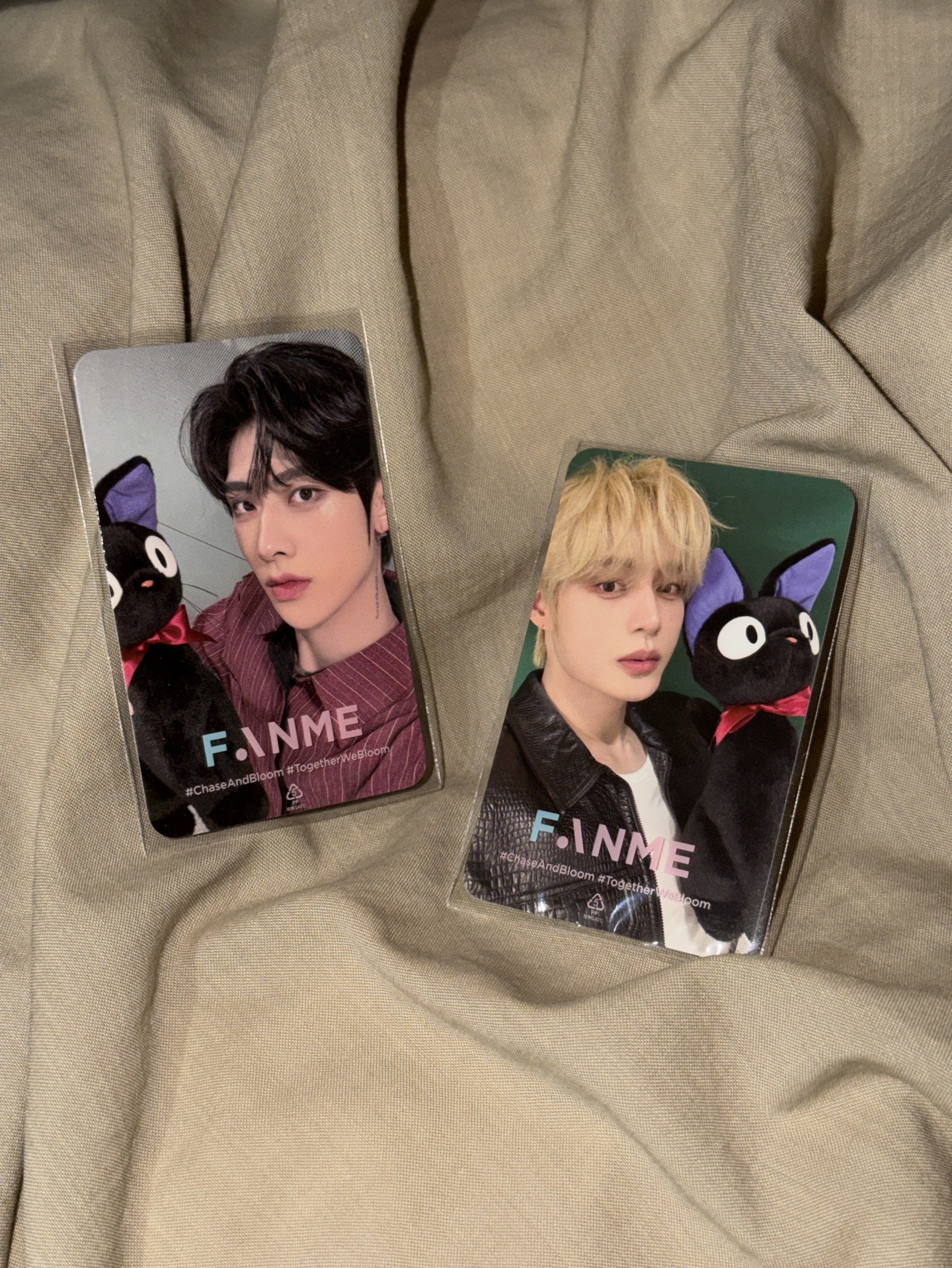 沈泉鋭 金地雄 台北場吉吉卡 白菜出