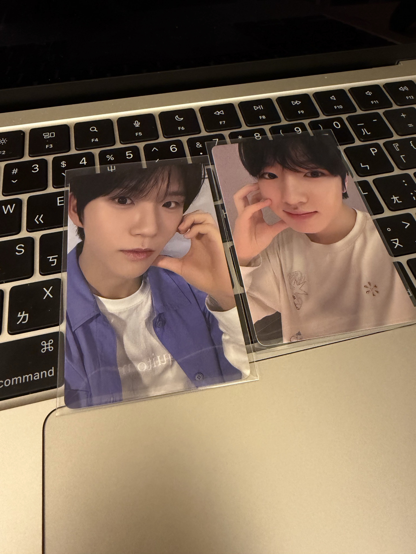 songbird一直娛4.0