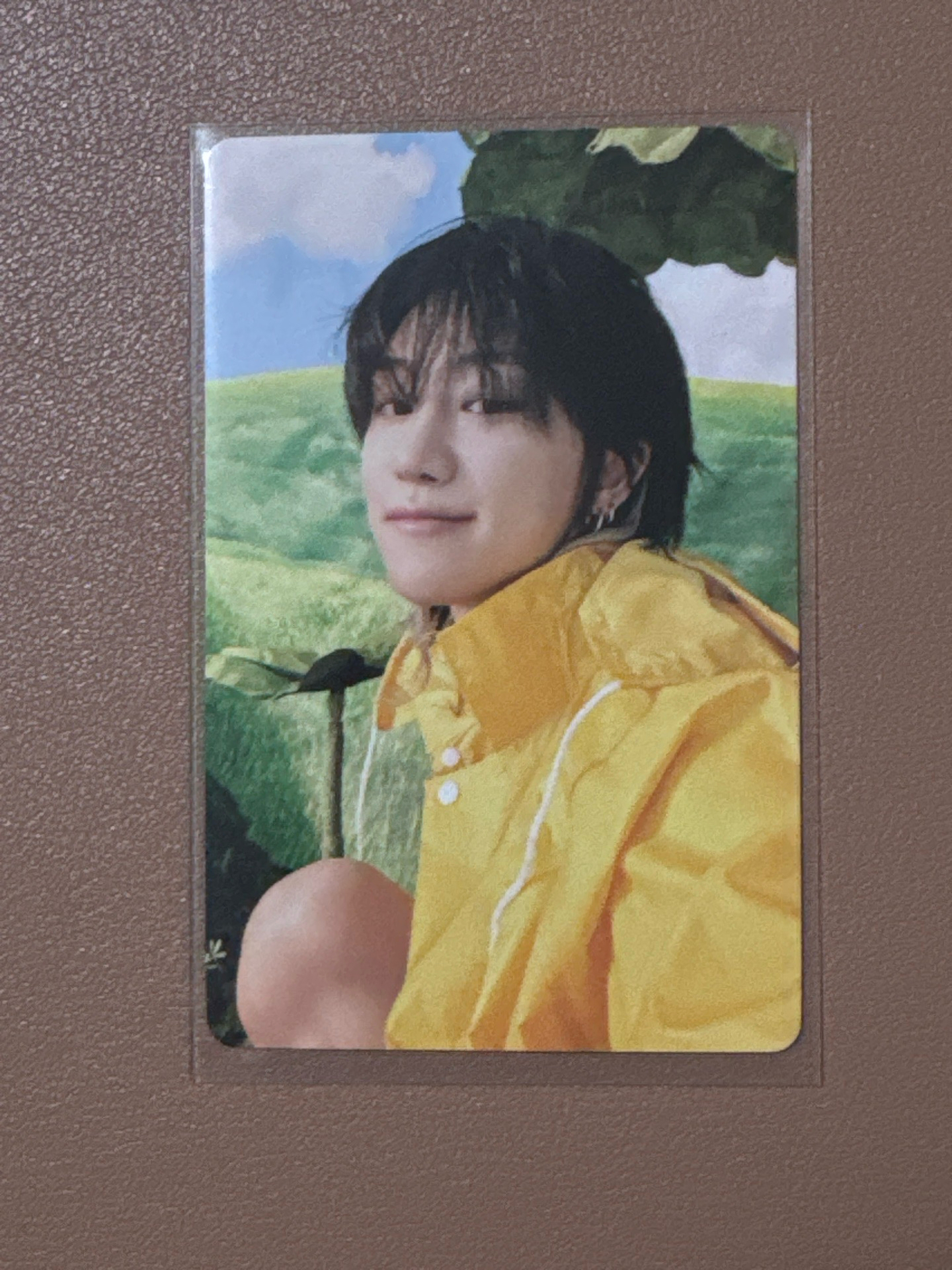 迷十一克拉盤-1