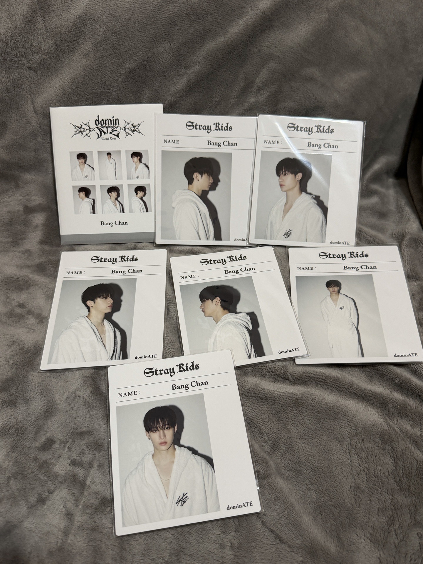 捧臉燦（全新未拆）