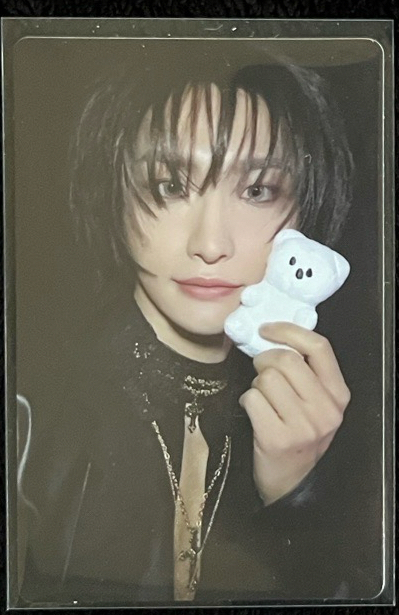 歐美卡-白色小熊-星