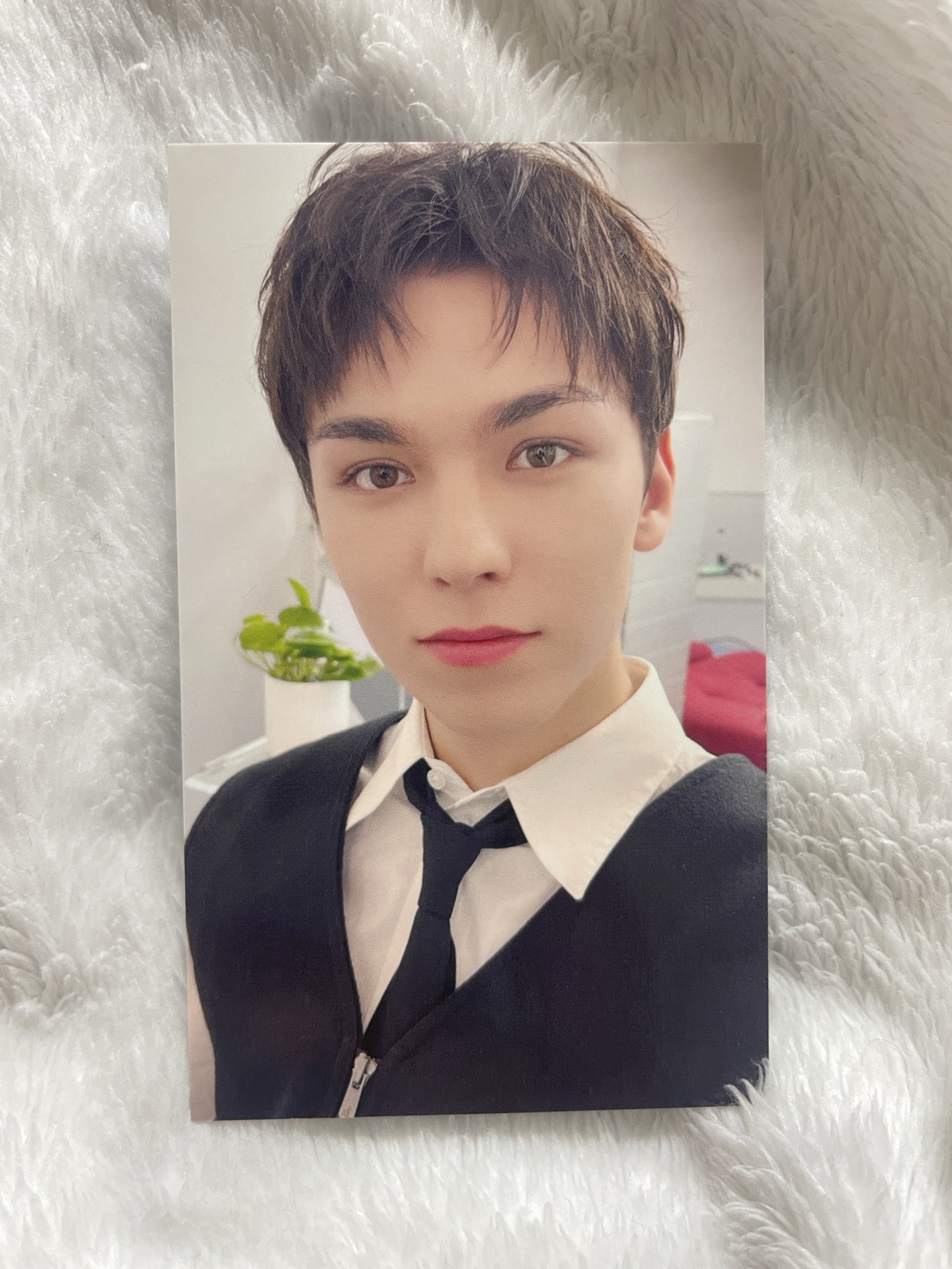 SEVENTEEN 精選專 環球 特典卡-VERNON 瀚率