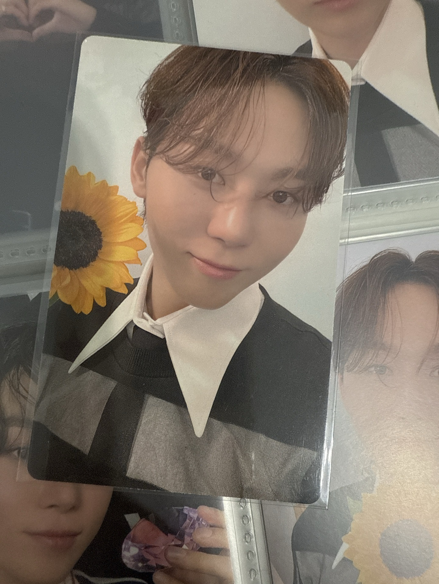 💎SVT 精選專 wvs gov特典 寛