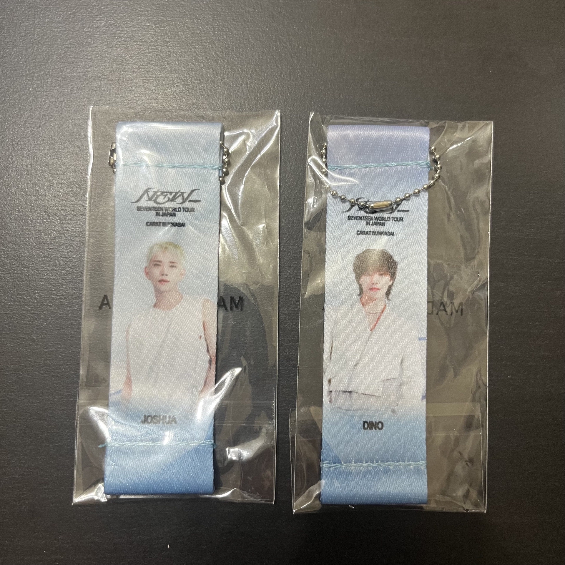 New_日巡旗幟扭蛋 秀 燦