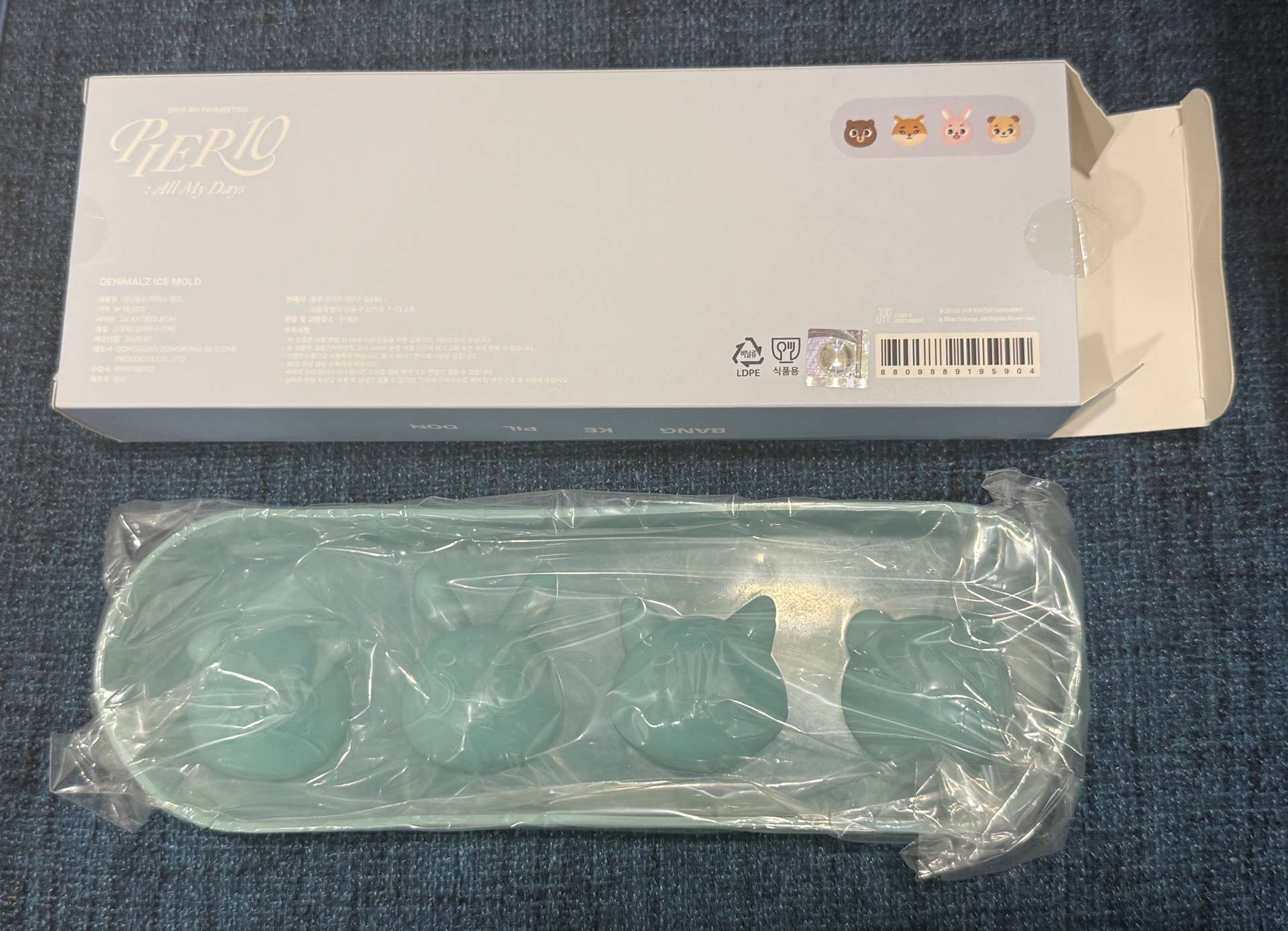 DAY6 製冰盒 PIER 10