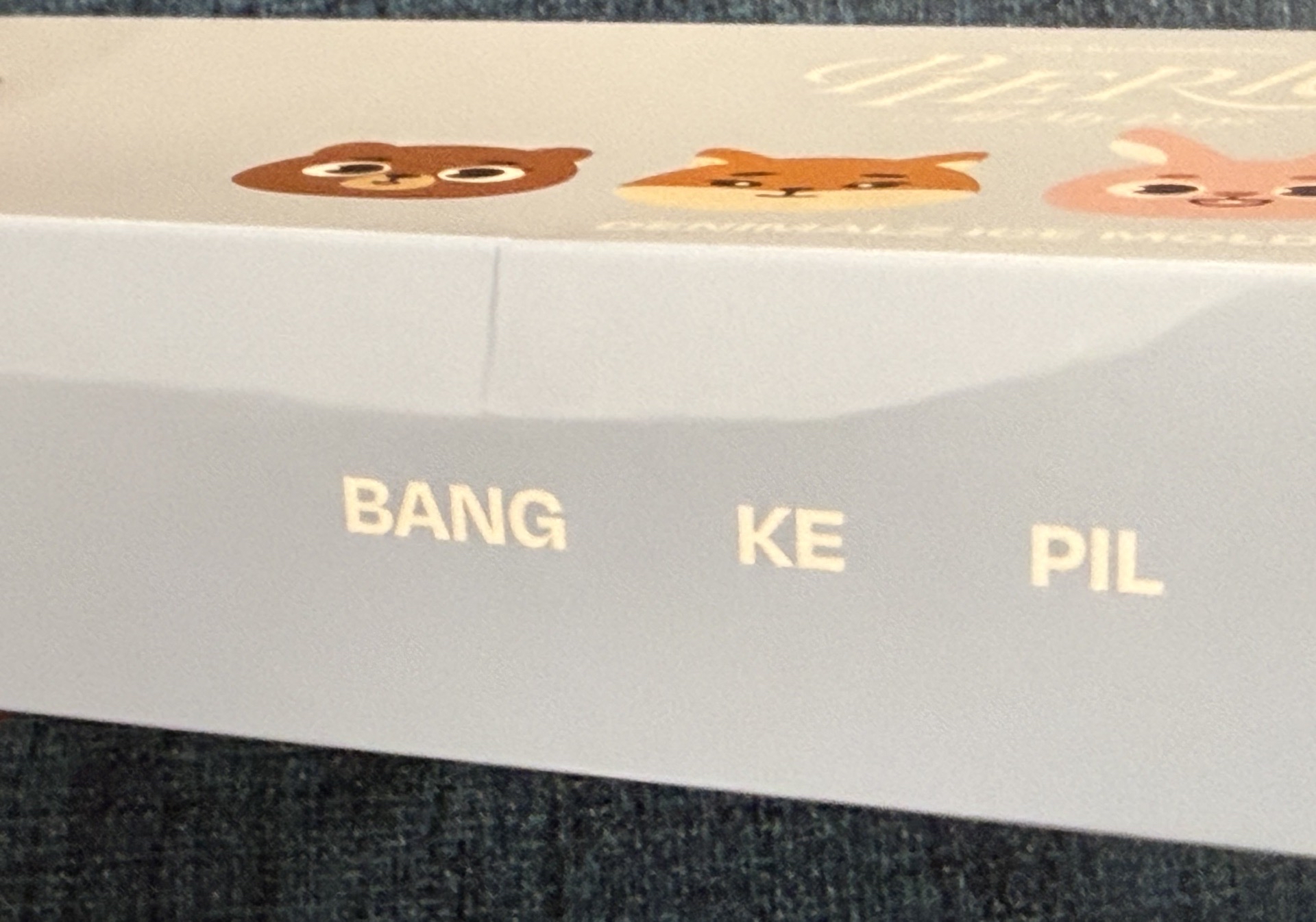 DAY6 製冰盒 PIER 10