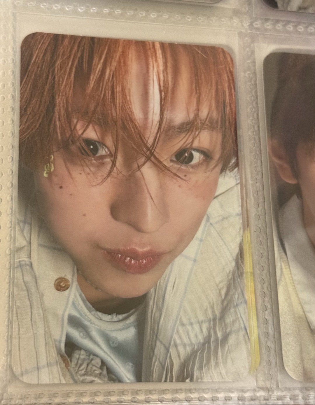 人在做 貓在看⁃⩊⁃