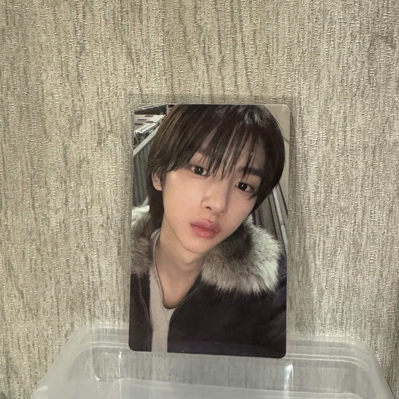 WVS年末特典卡-訓