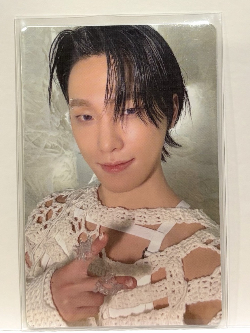 Seventeen小卡-Dino