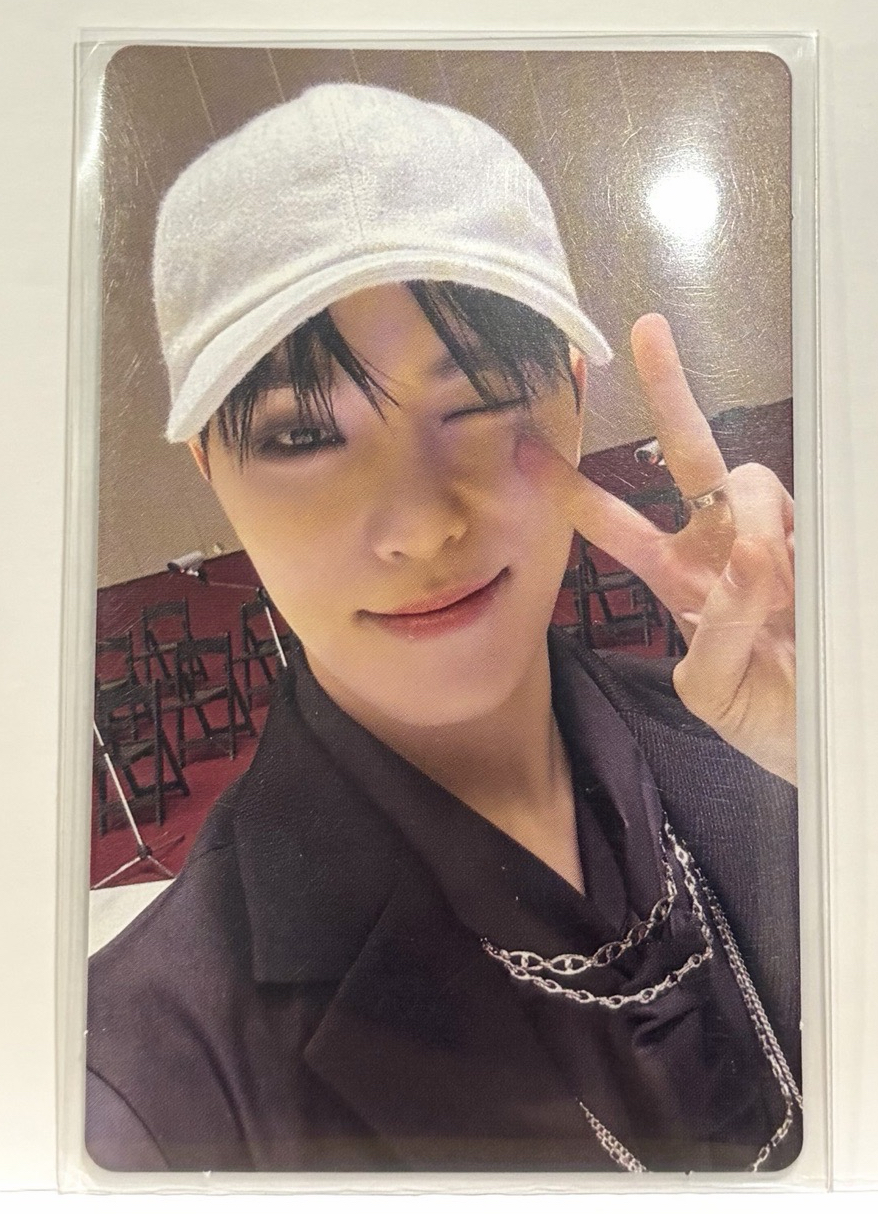 Seventeen小卡-Dino