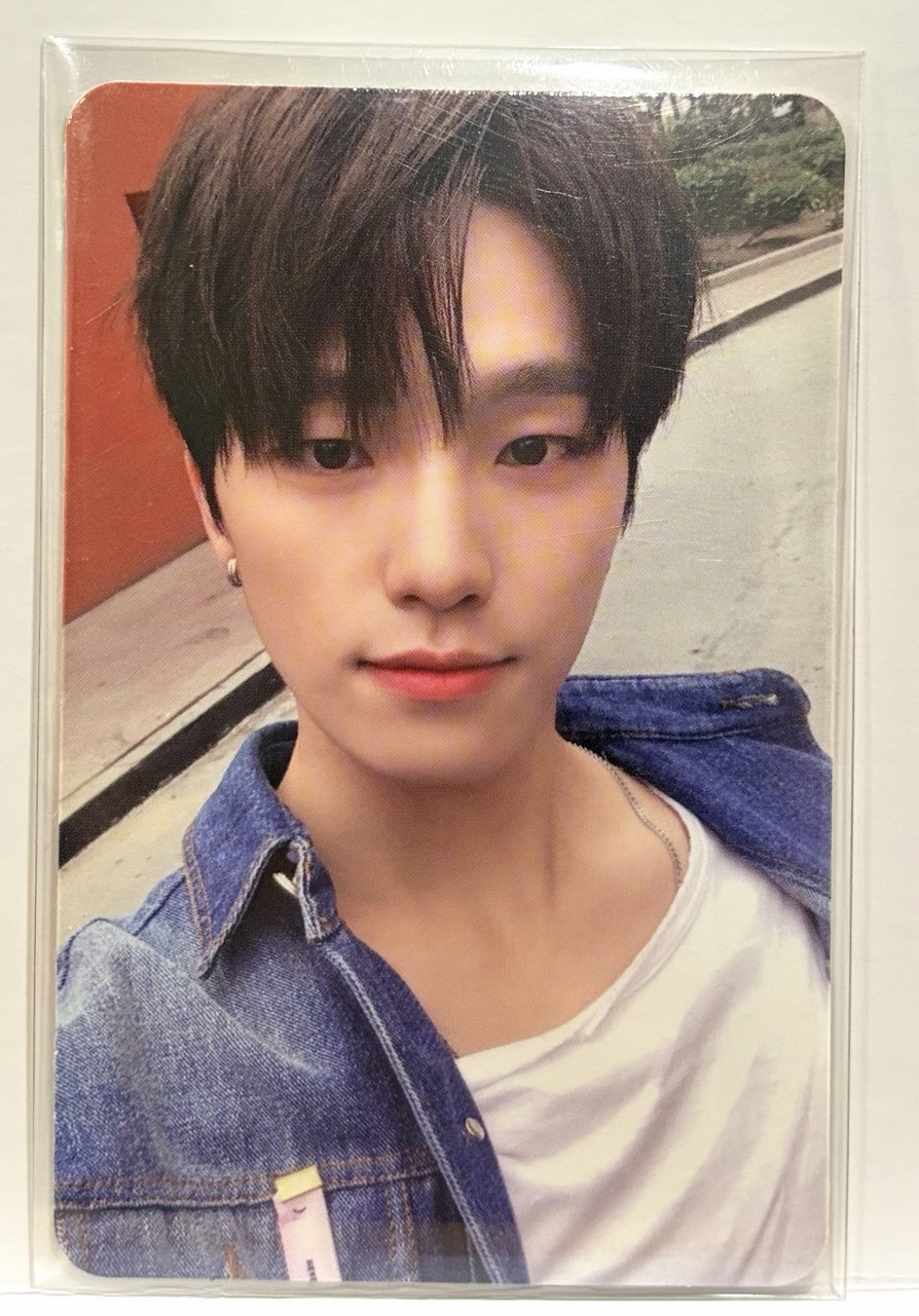 Seventeen小卡-Dino