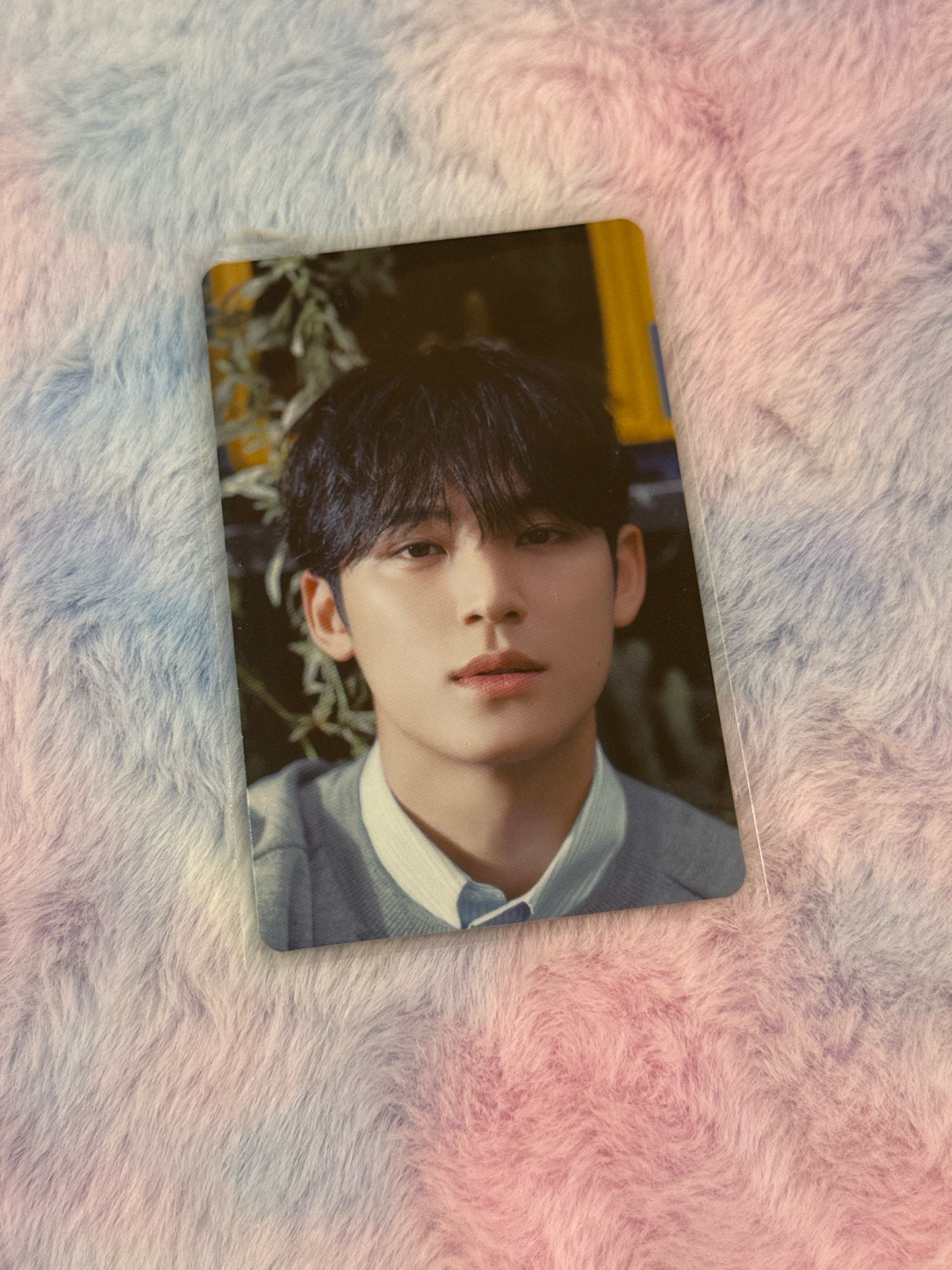 消費期限 專卡 奎