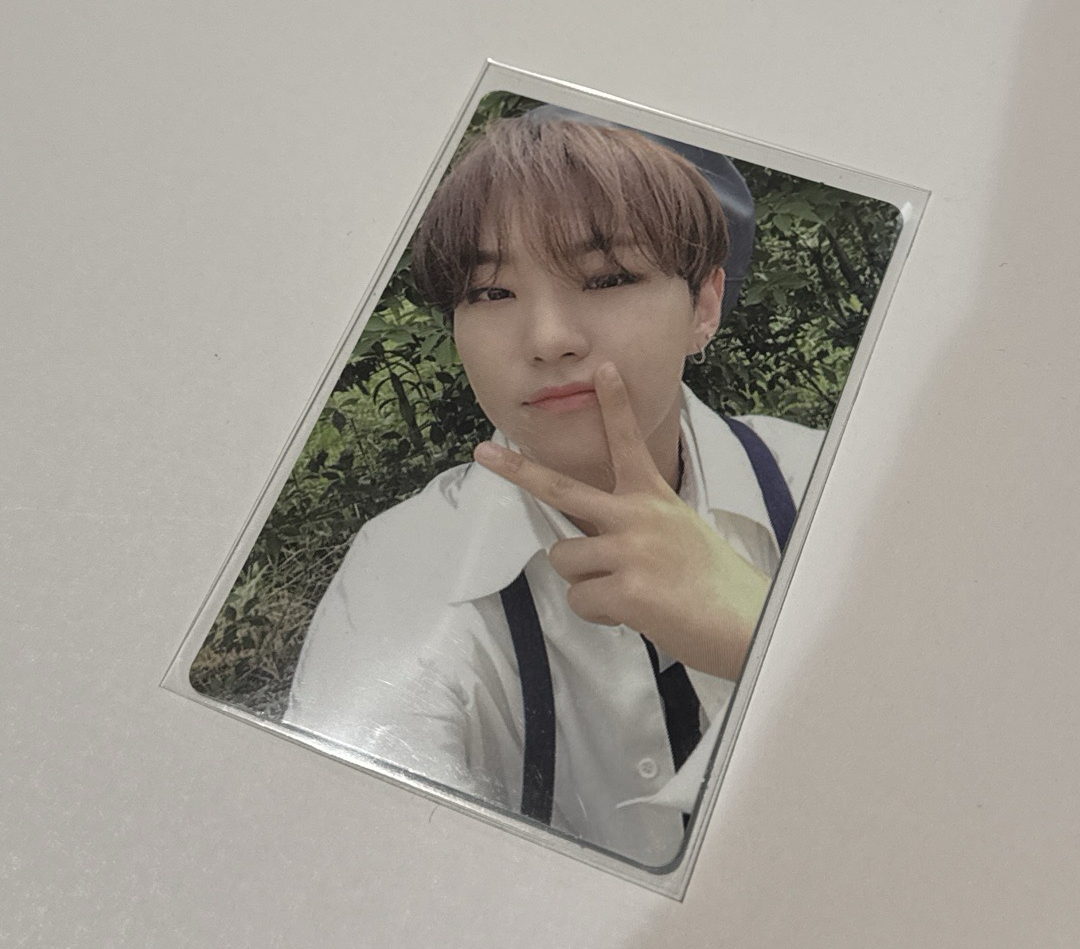 🩵貝雷帽老虎（🩷）