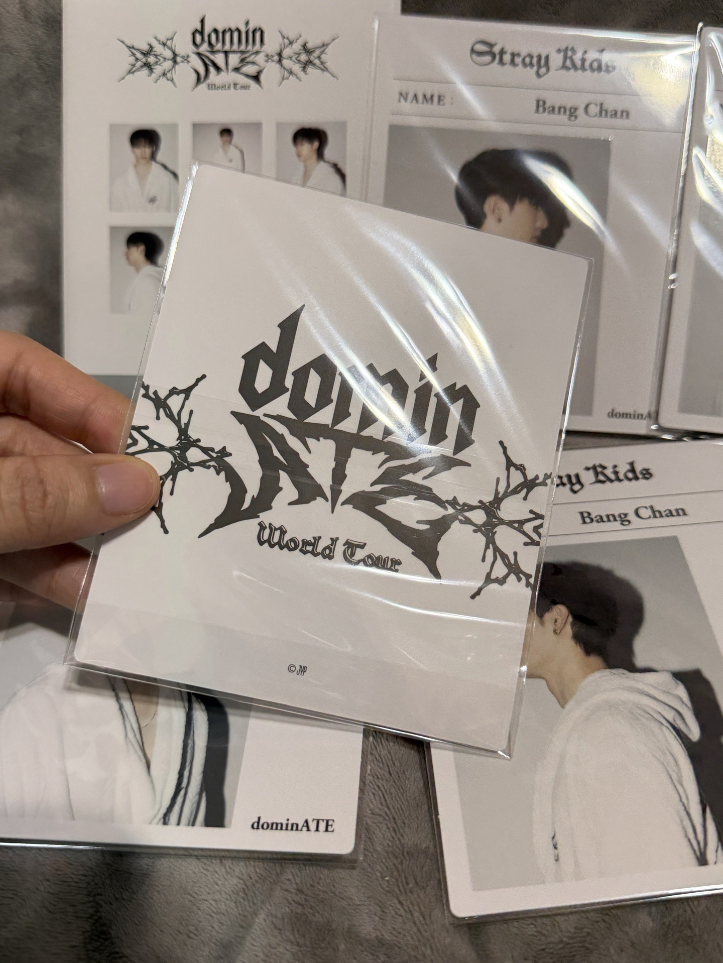 捧臉燦（全新未拆）