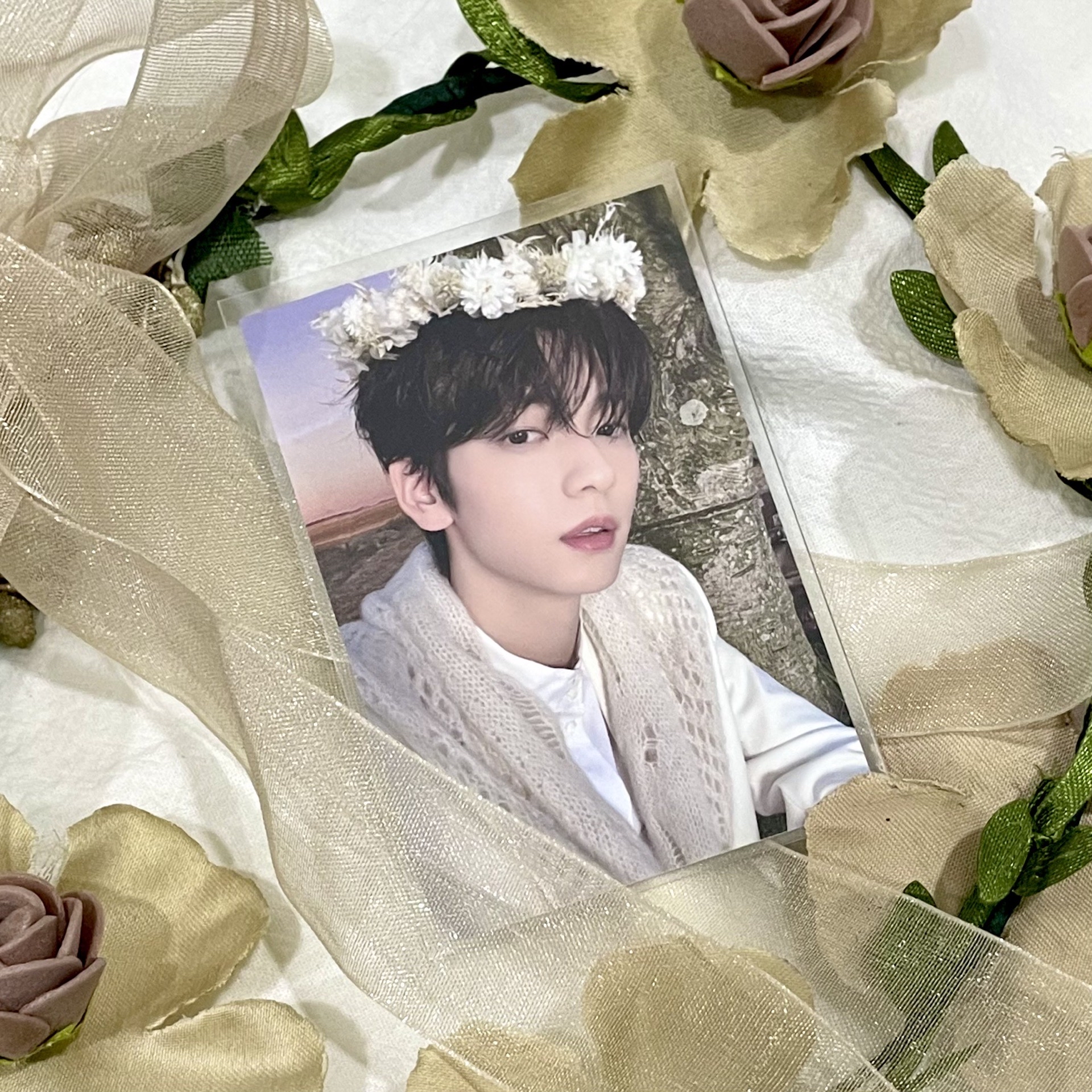 崔秀彬 花環彬 台北場粽卡