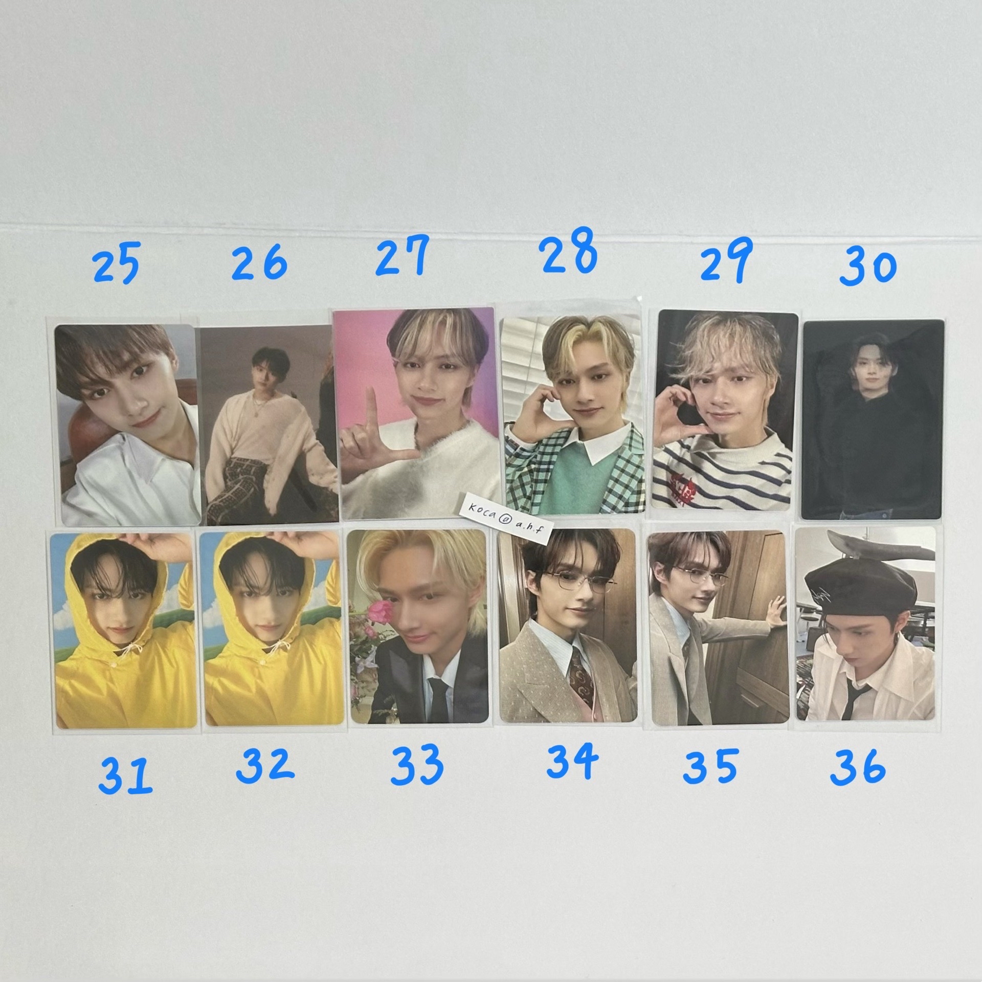 SEVENTEEN 俊卡-2