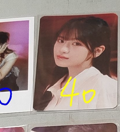 官拍美萌小狗安