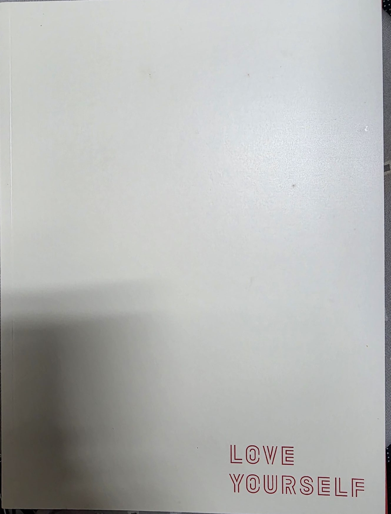 LY TOUR 寫真集 節目冊