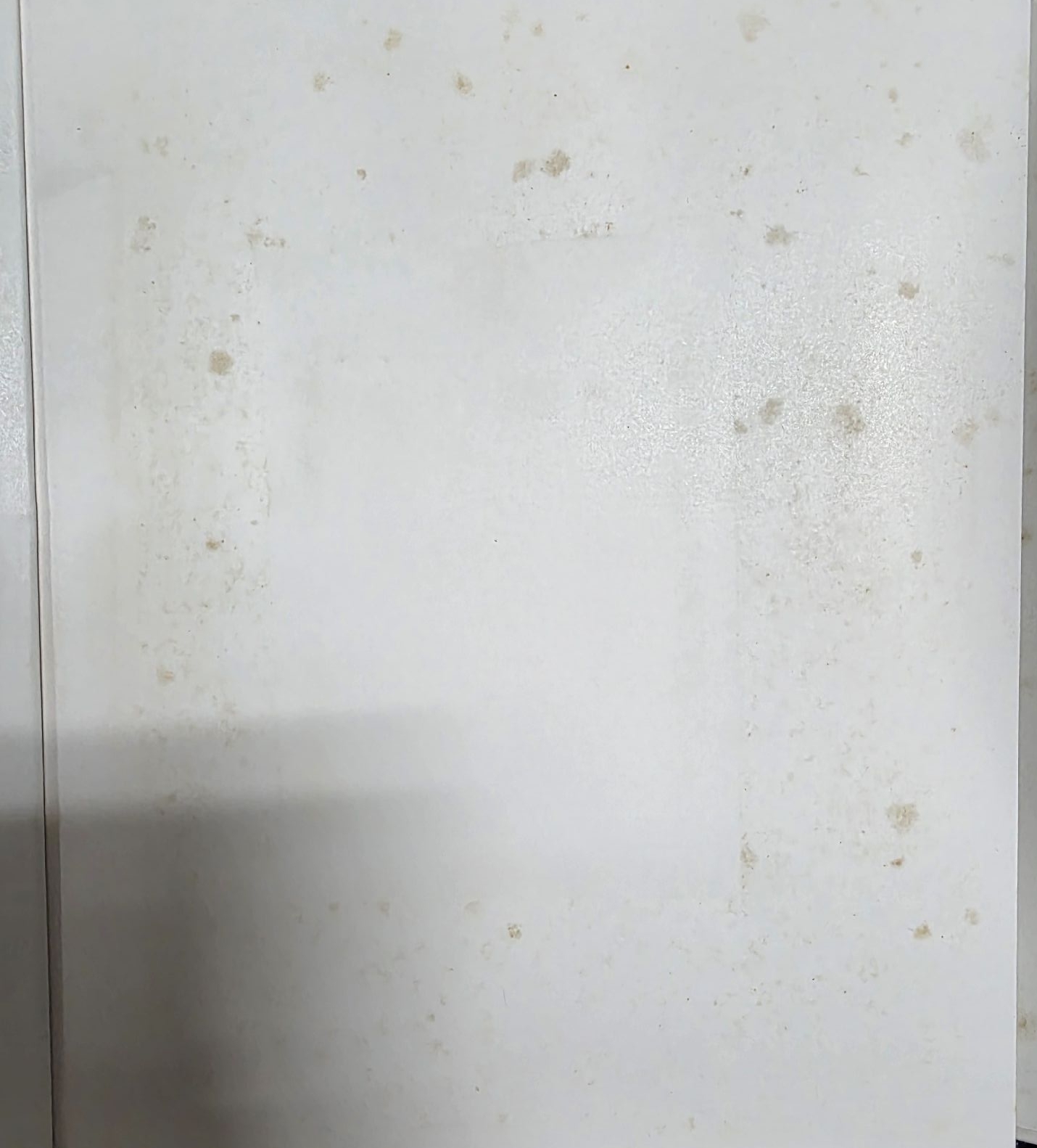 今日展寫真集（含生寫真，外殼內裏和第一頁有小黃漬，其他內頁無損）