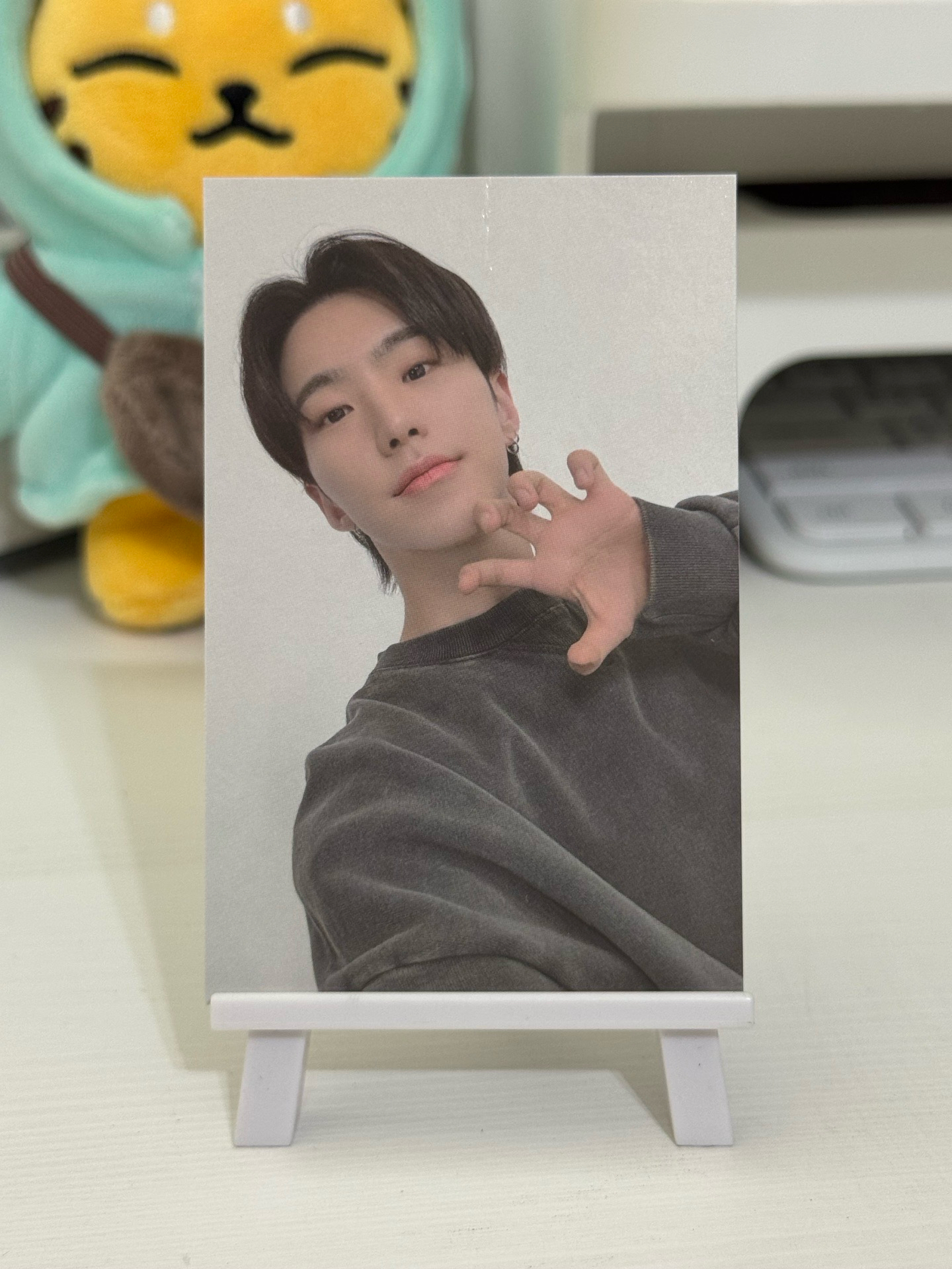 🐯九週年｜順榮 項鍊卡 周邊卡（滿千可贈）