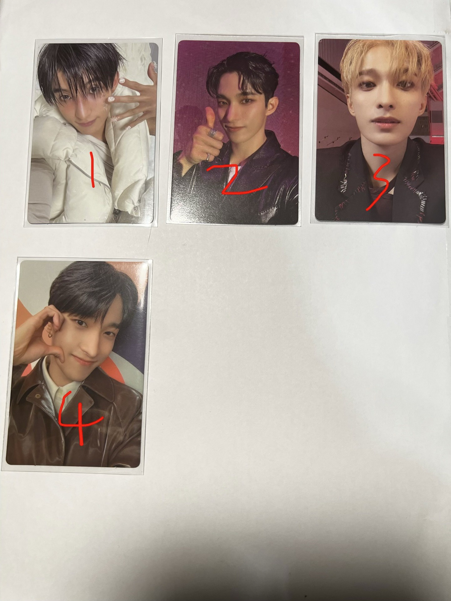 🐸🍕🐻‍❄️🦦