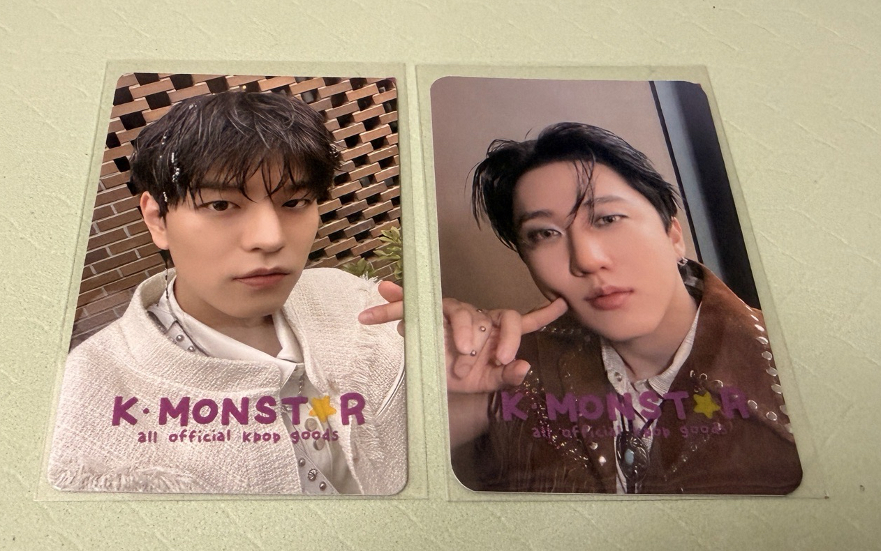 Stray Kids 數星星中背特典