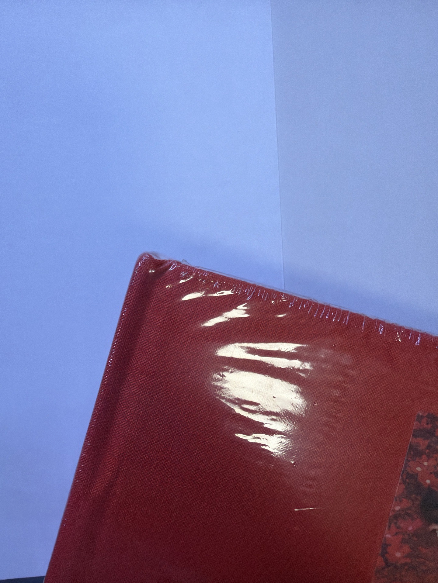 Ruby Jane Ver. ［全新未拆］