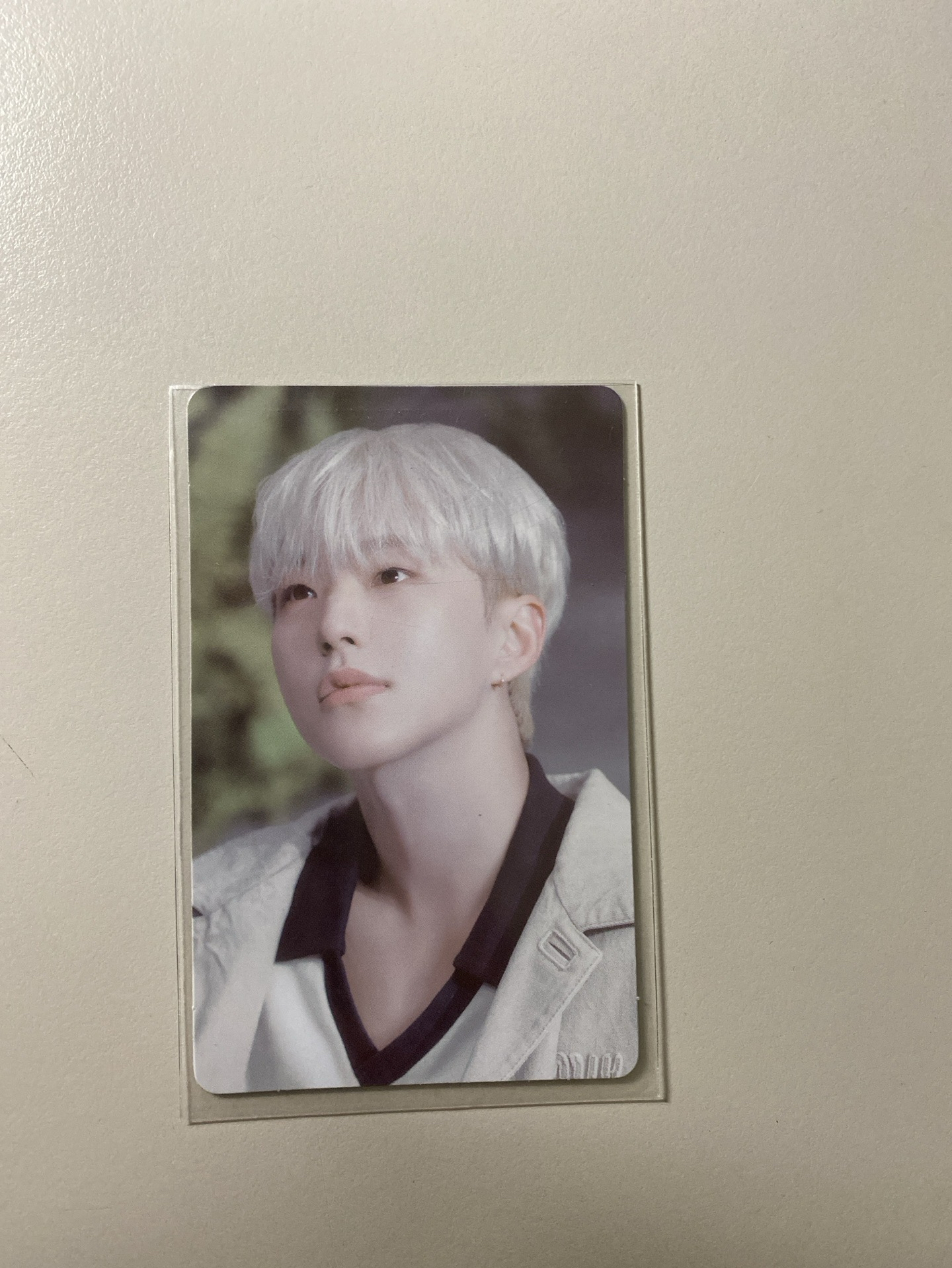 消費期限 wvs 特典卡 