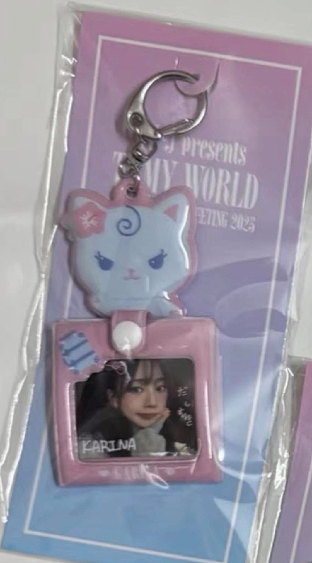 日本fm周邊相片卡柚set