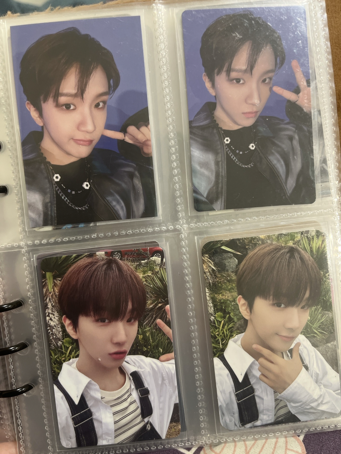 因為懶得選圖鑑所以 30/1 標價整圖