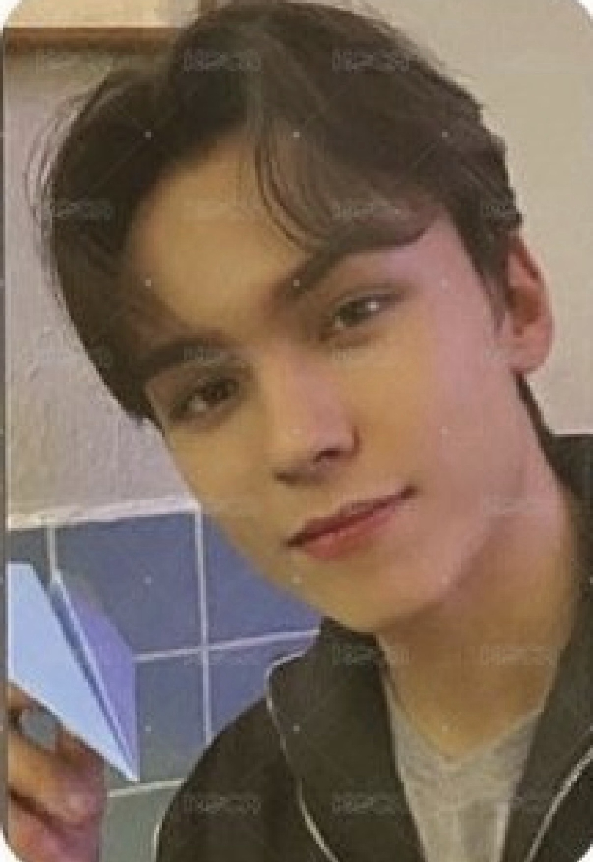 POL 日咖 特典卡 Vernon