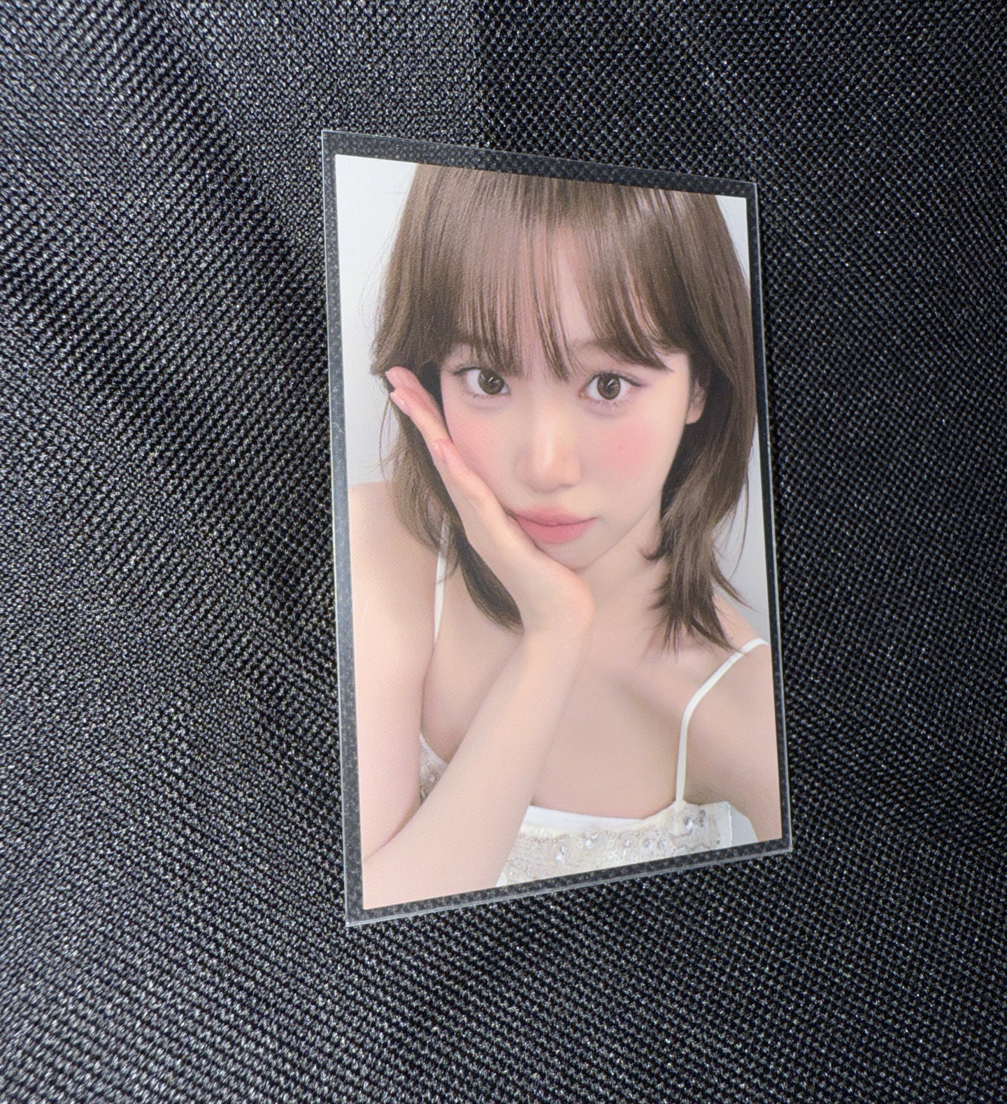 台北粽卡采+明信片一組