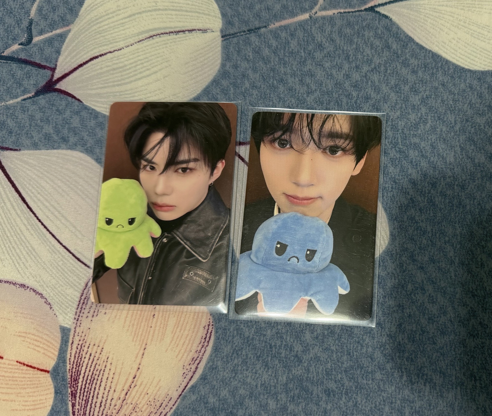 ZB1 mini5 yzy 一直娛 憤怒章魚 