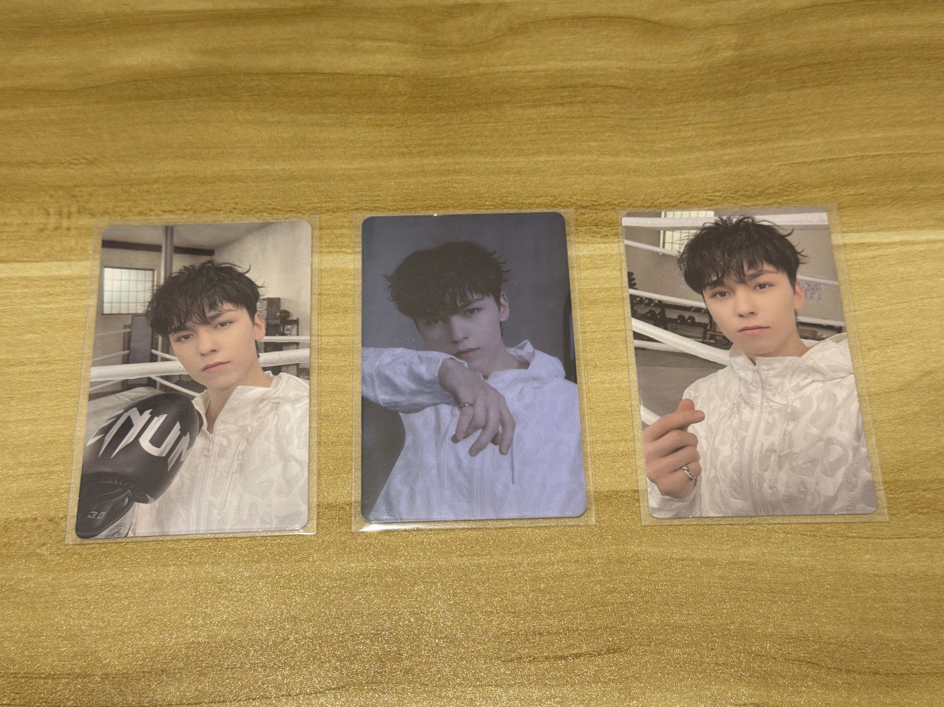 正規四後續 Vernon｜WVS電子專ver.