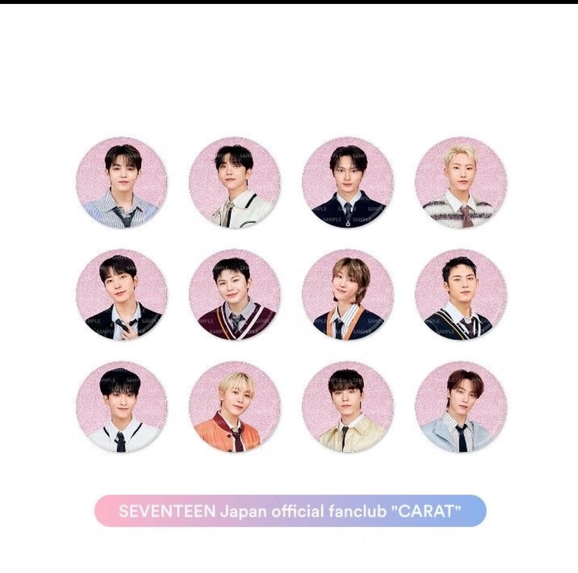 Mingyu 25‘fm holiday 徽章 