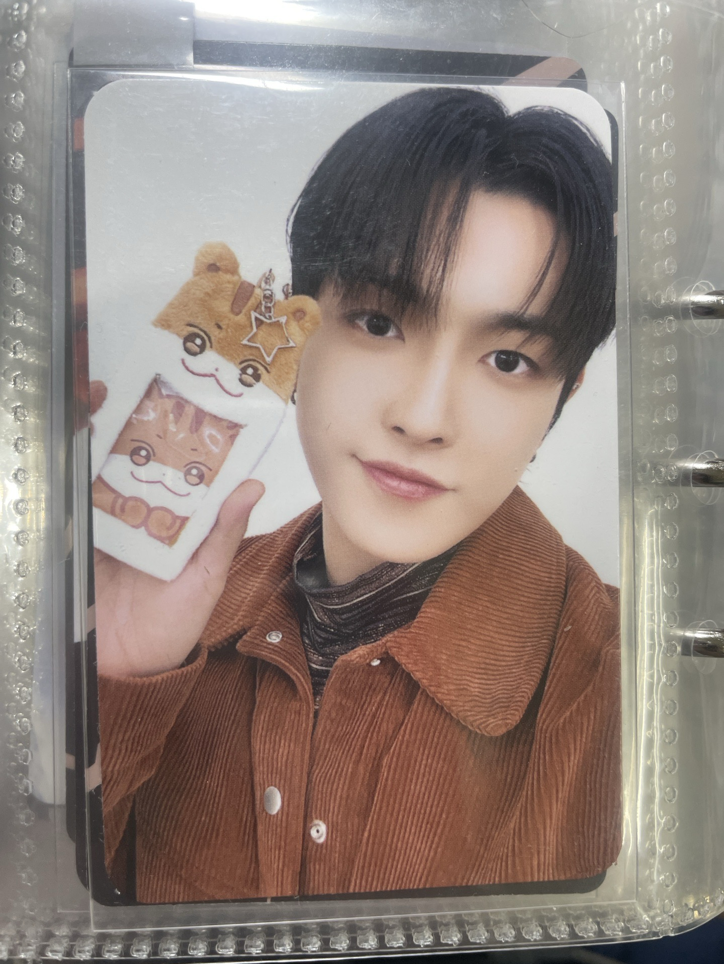 夢境小動物娃卡（需多帶任一卡）