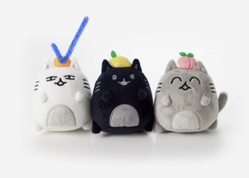 seventeen 文開門娃娃