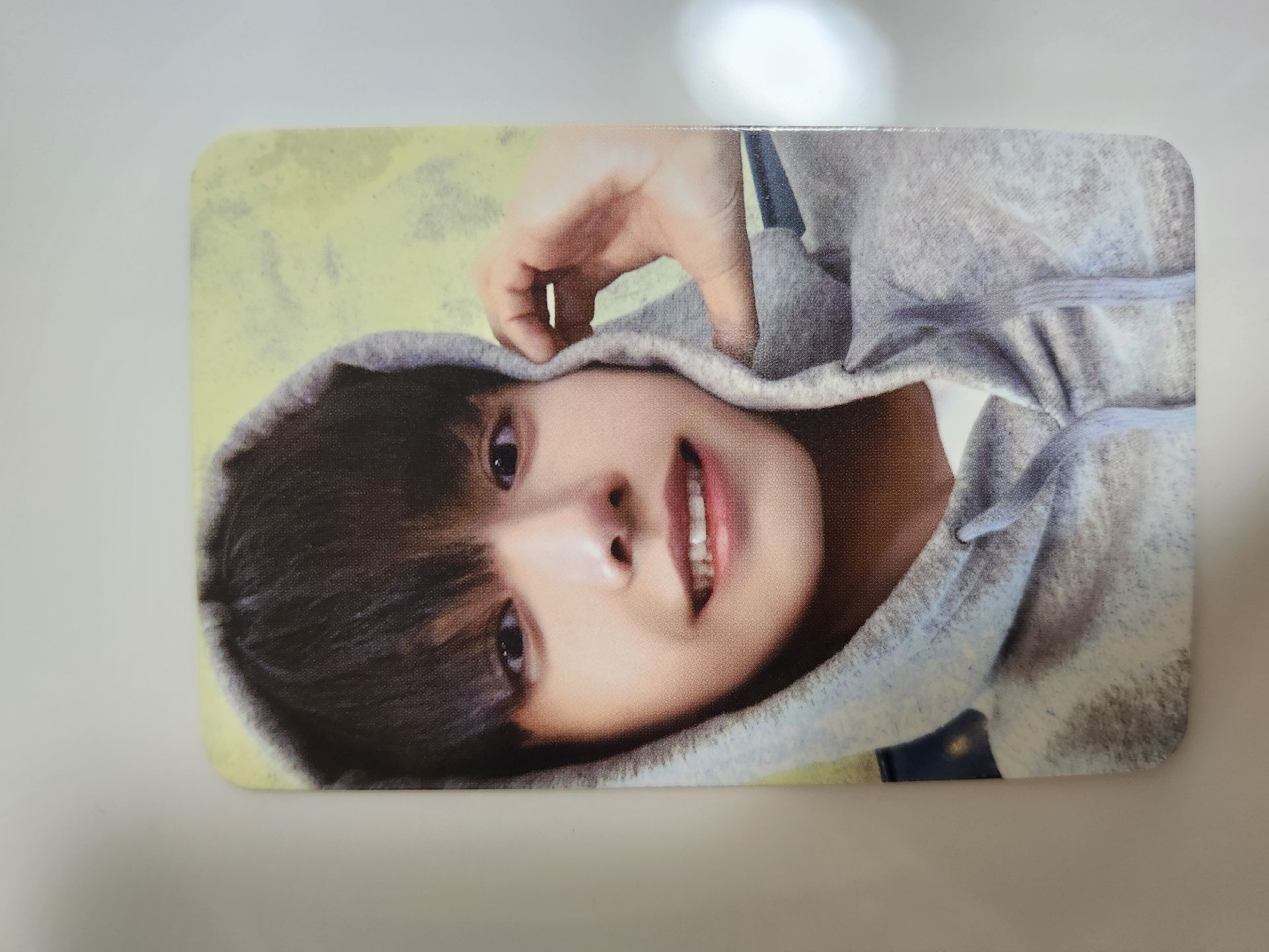 WHO 蜜蜂狗 明（不當綁）