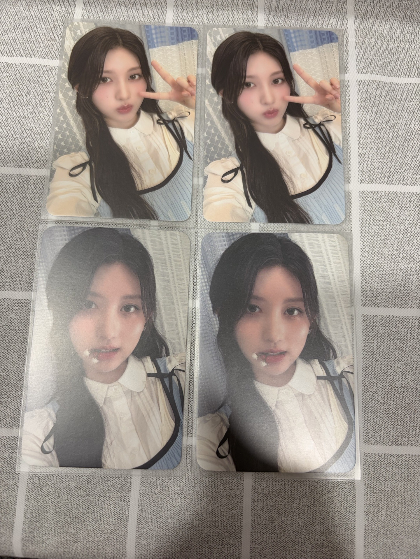 金秋天小卡 24年台曆