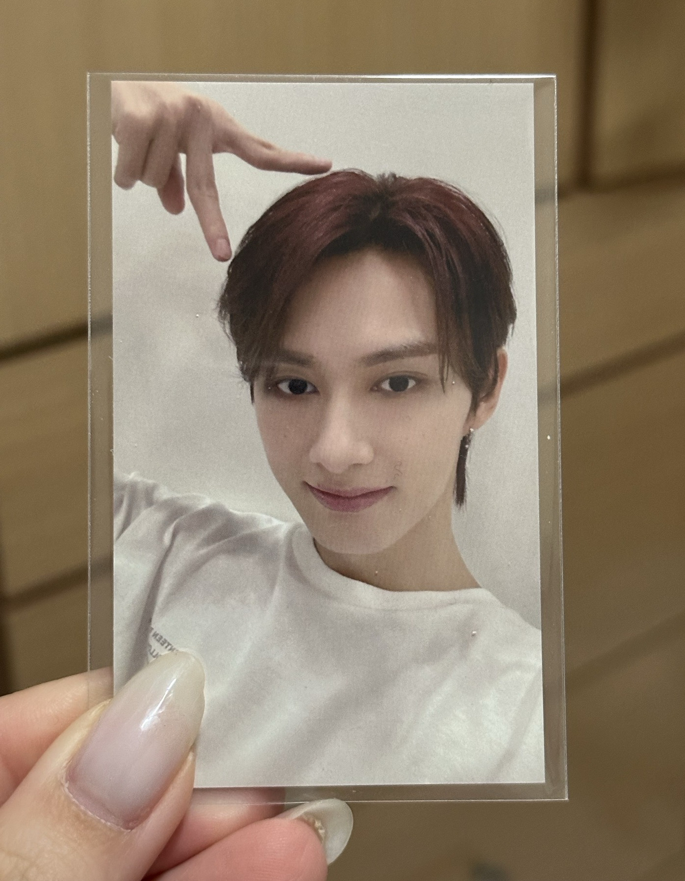 俊🐱環球 感謝祭 清卡冊、免包手